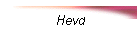 Hevd