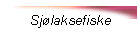 Sjlaksefiske