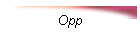 Opp